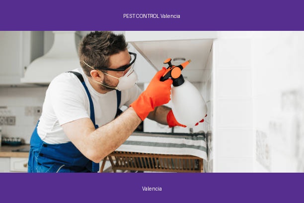 PEST CONTROL Valencia
